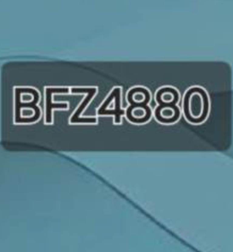 Number plate BFZ4880 