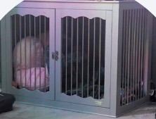 Dog cage gray cabinet