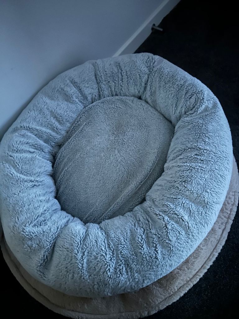 Dog beds 