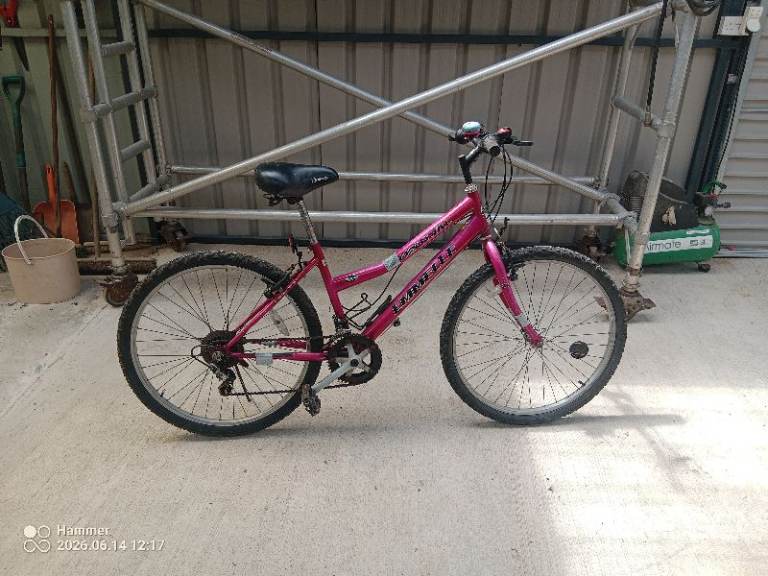 Girls Pink Bike 