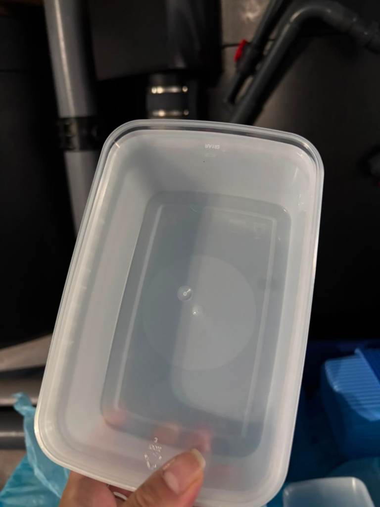Plastic Food Storage Container with Lid