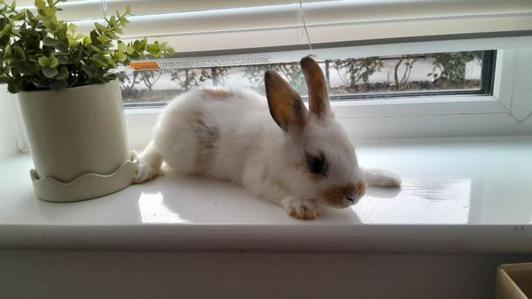 beautiful babies ready to leave! :) 