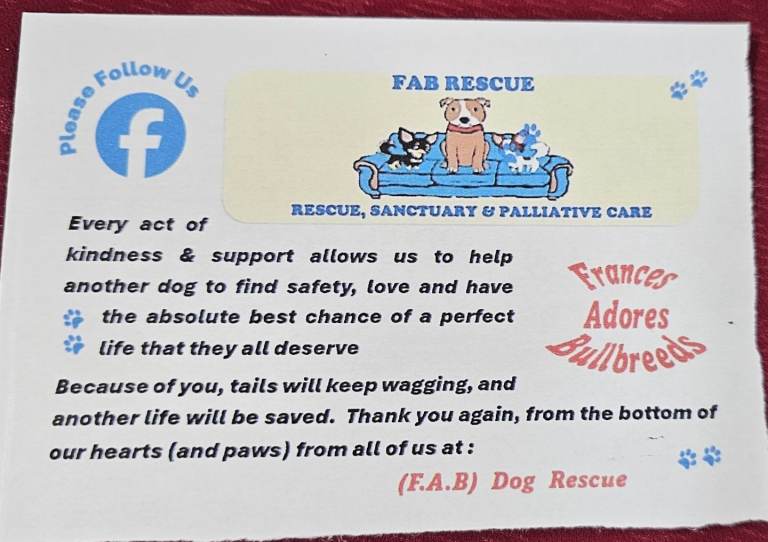 Raising Funds For FAB Dog Rescue 