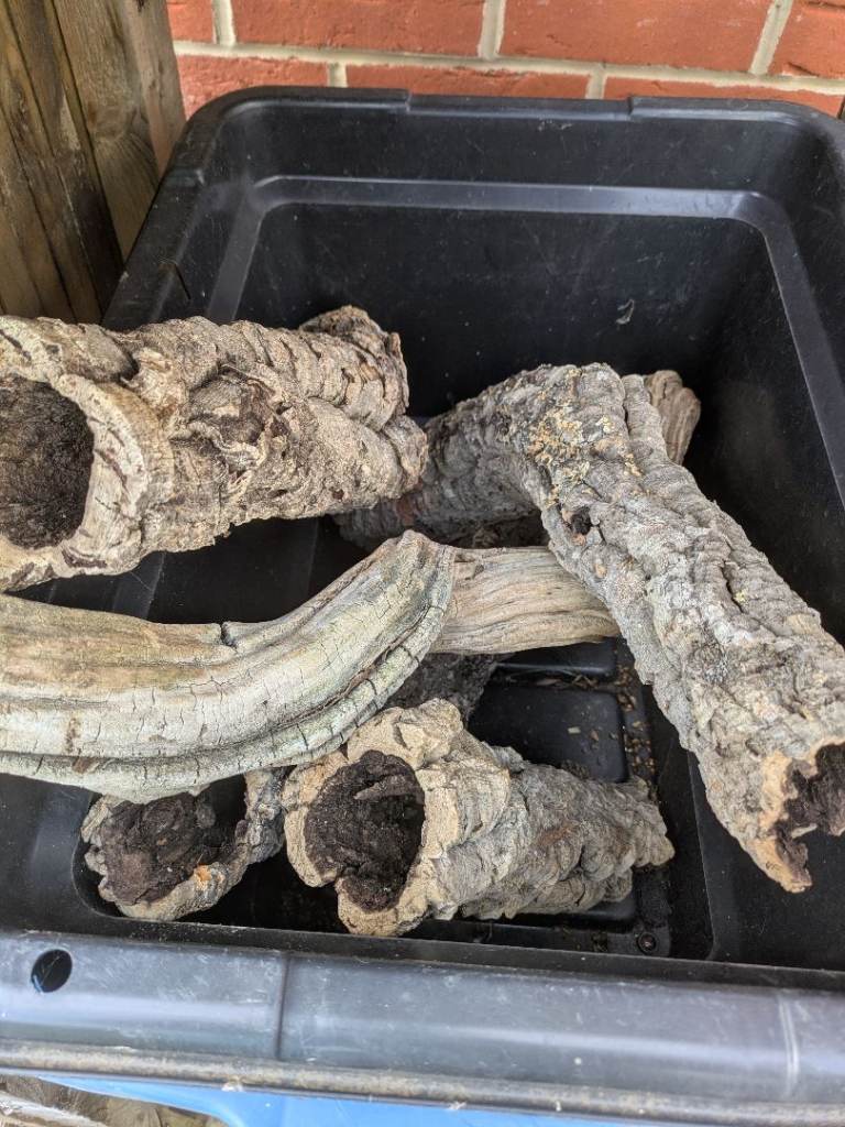 Cork bark tubes