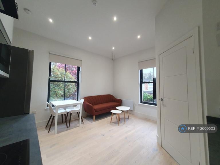 1 bedroom flat in Park Lane, Sheffield, S10 (1 bed) (#2669503)