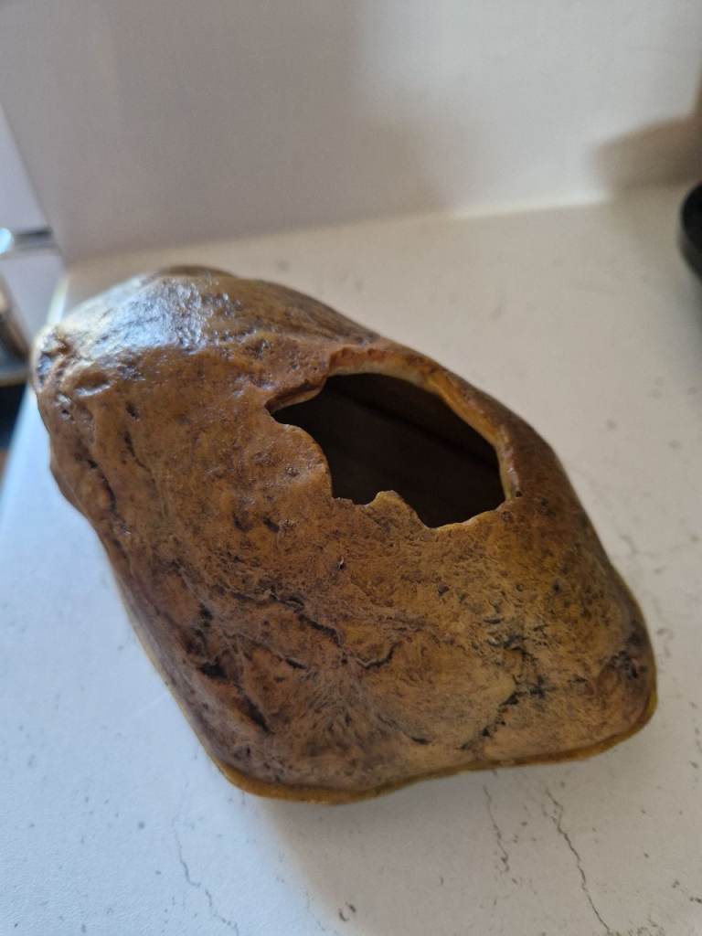 Exo Terra Snake Cave Medium