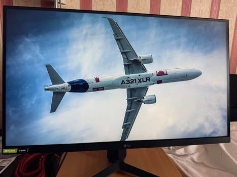 Two LG gaming monitors and monitor arm! 