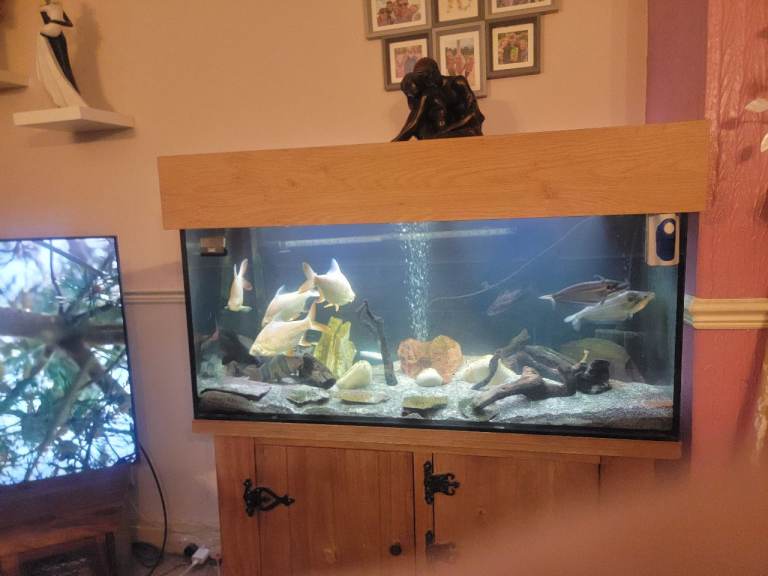 Aquarium 