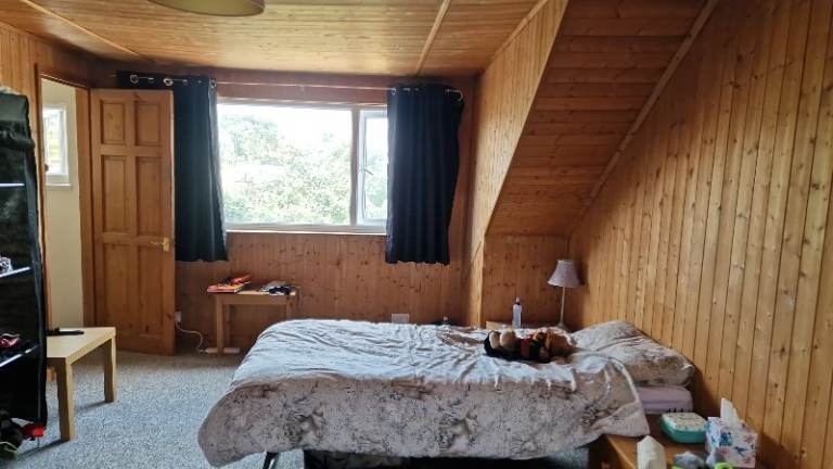 Professional lodger wanted in shared house