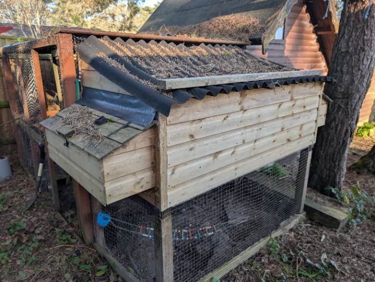 Chicken Coop