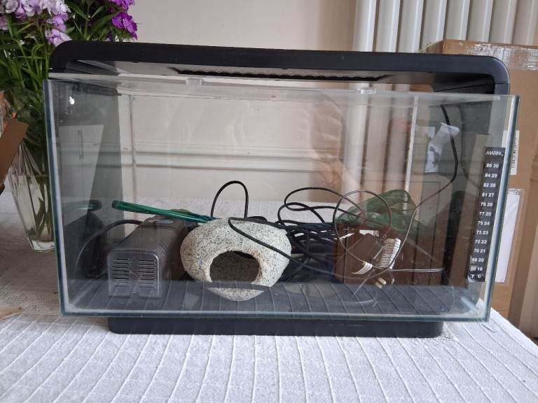 fish tank