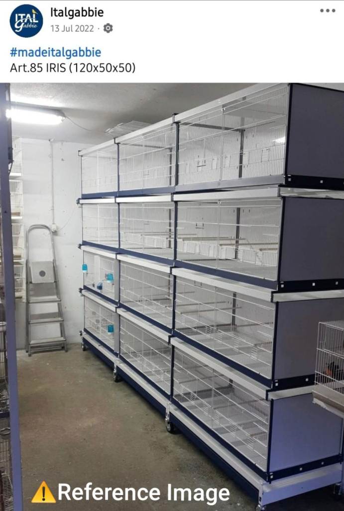 Italgabbie (Art. 85 model) bird cages to re-home.