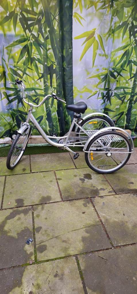 Silver Tricycle Adult Bike – Good Condition