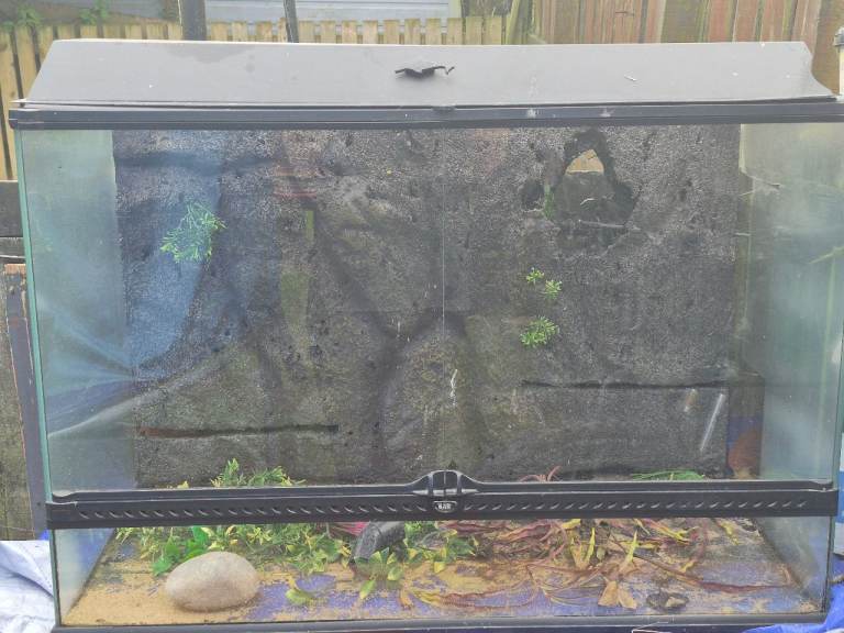 90cm x 45cm x 90cm paludarium/vivarium 