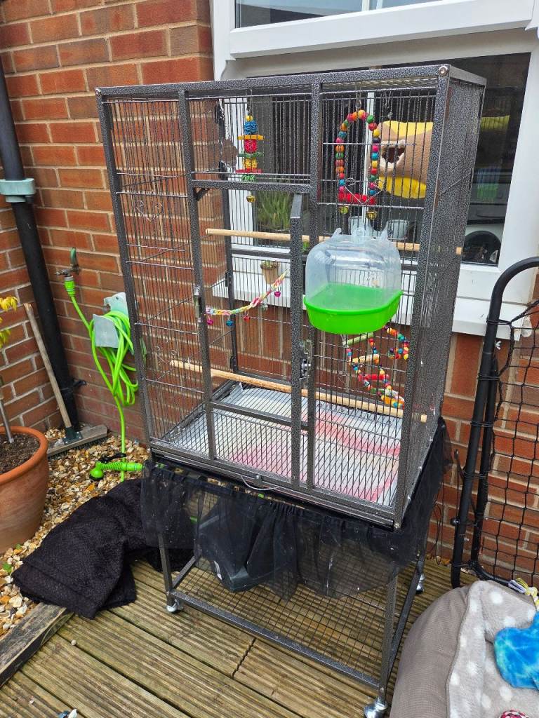 Parrot Cage for sale