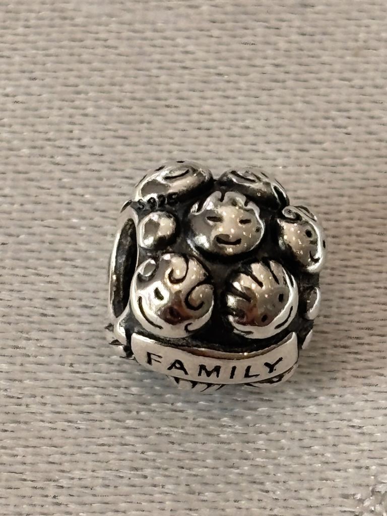 Pandora genuine love & family charm 