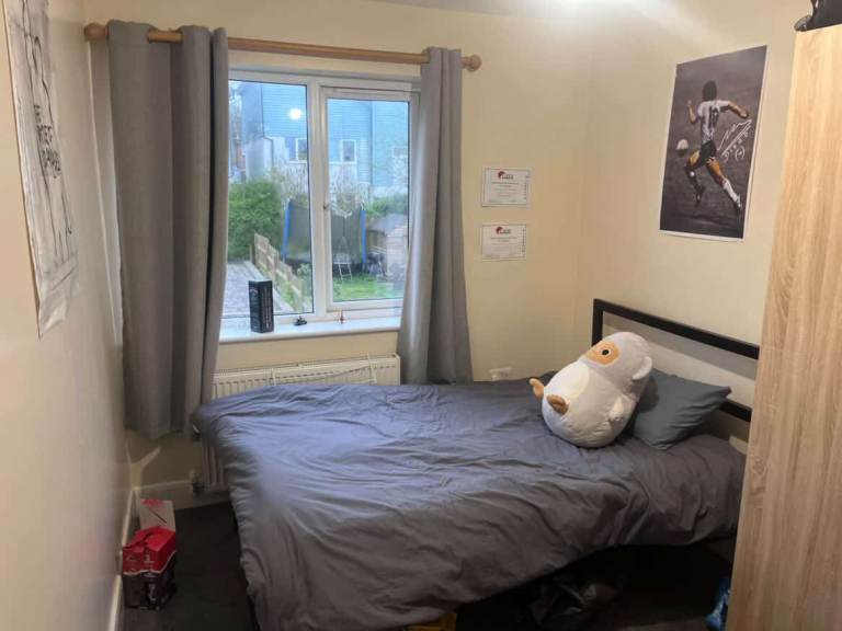 Brighton Student Room – June–Aug Short-Term Let