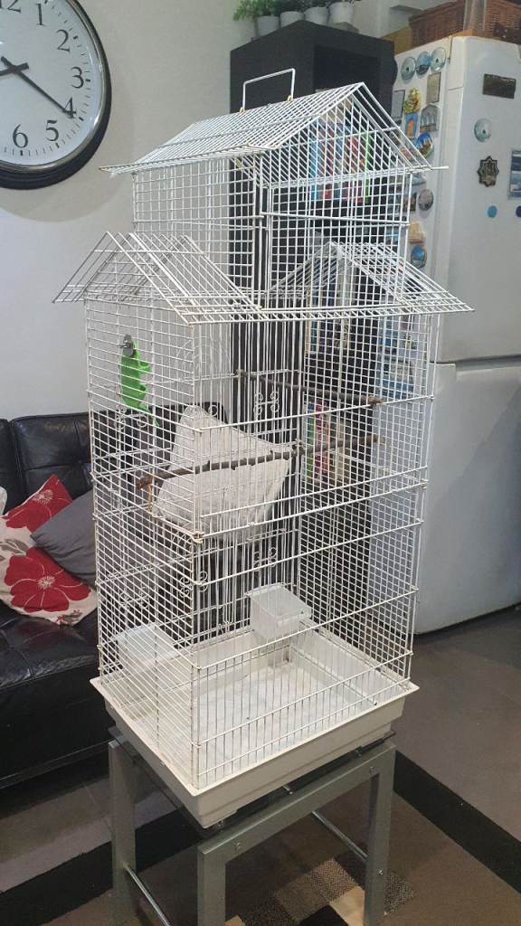 Large bird cage