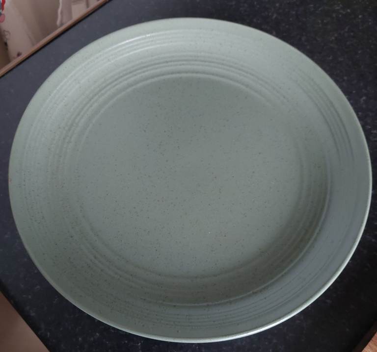 WANTED Habitat Ripple Dinner Plates in Sage
