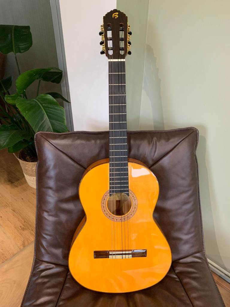A Fransico Bros B40F Flamenco guitar with good quality hard case. £120. ...