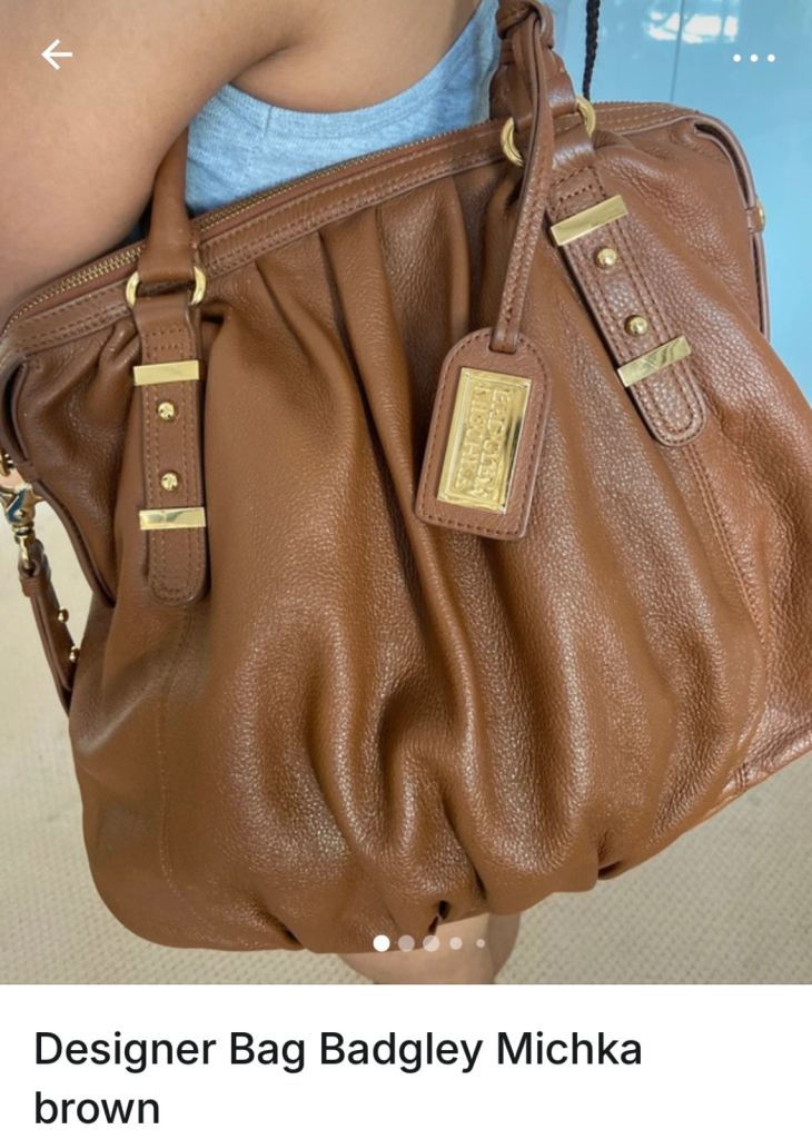 Designer Bag Badgley Mischka