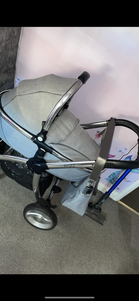 Egg travel system
