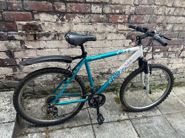 Mountain Bike for Sale – Teal and White, Fair Condition