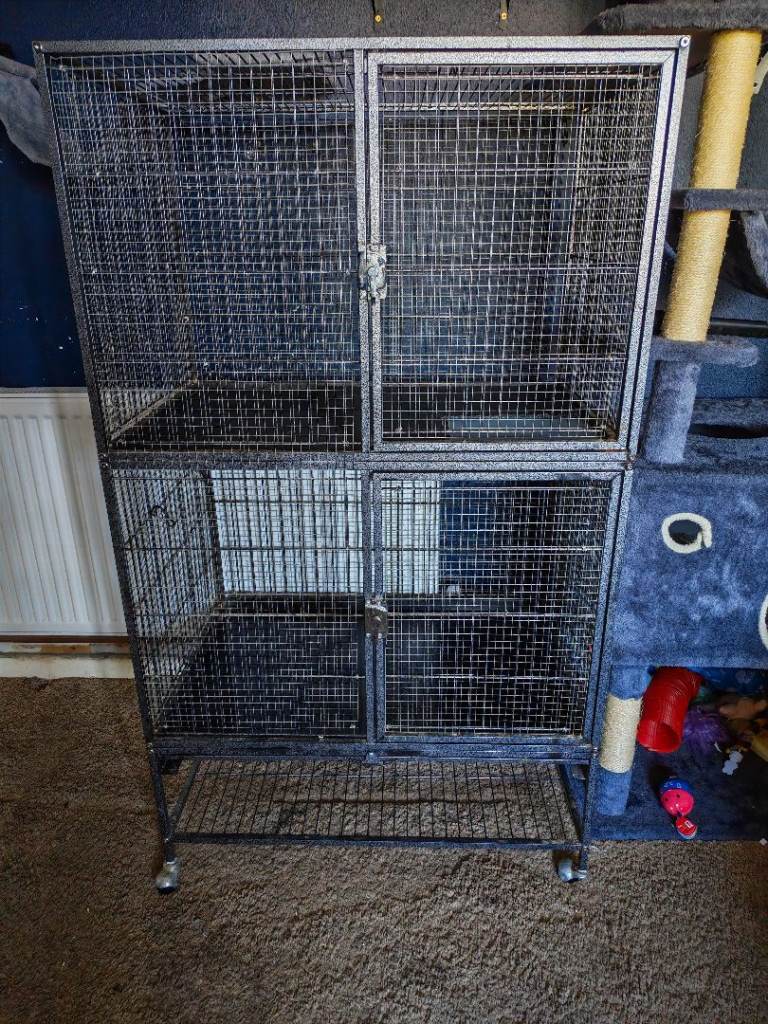Rat cage