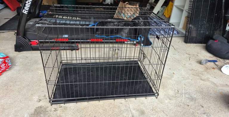 EllieBo dog crate 60x90