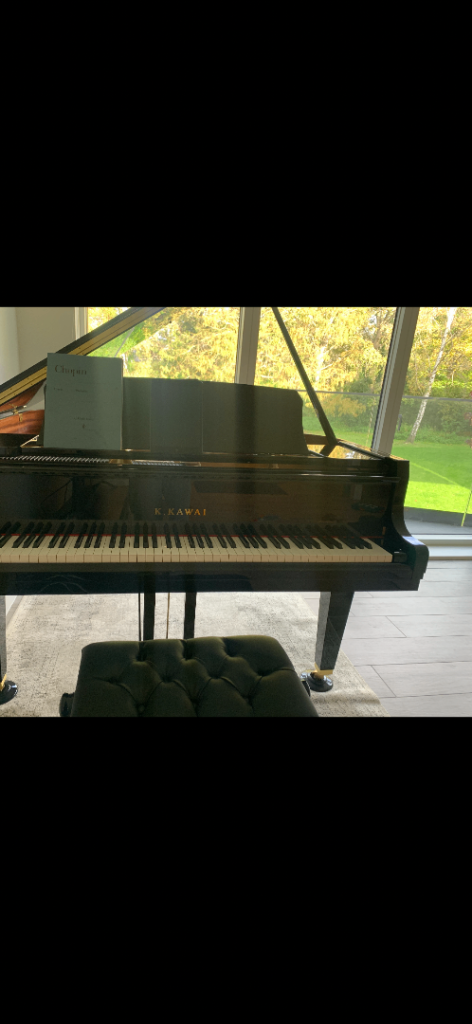 Kawai baby grand GL10