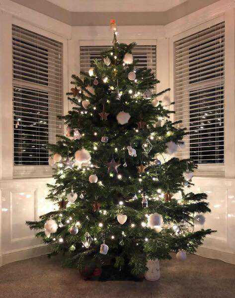 Real Christmas Trees