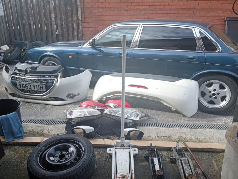 Breaking pug 20863 plate white