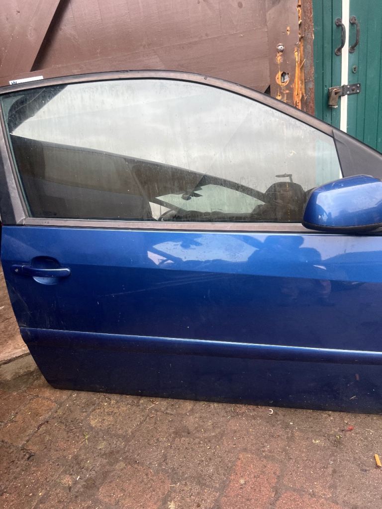 Ford fiesta mk6 door 