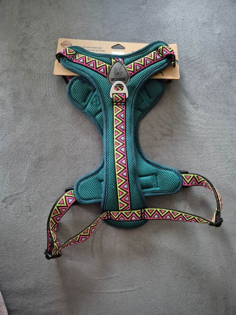 NeerDog harness, collar and lead set size large