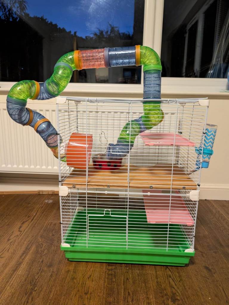Gerbil or Hamster Cage
