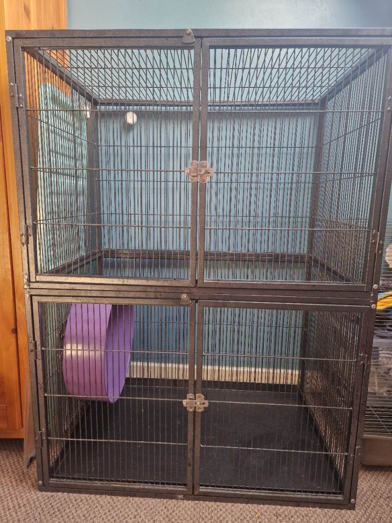 Rat cage and accessories - full setup