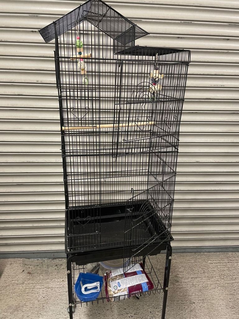 Bird Cage 