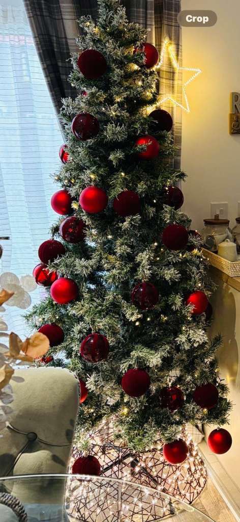 Frosted Xmas tree without decorations 