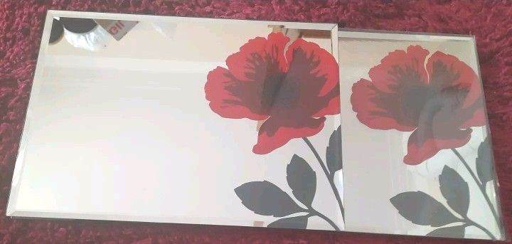 NEXT -NEW POPPY MIRRORED placemats (x4)