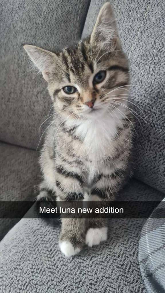Dad&daughter looking for forever homes.