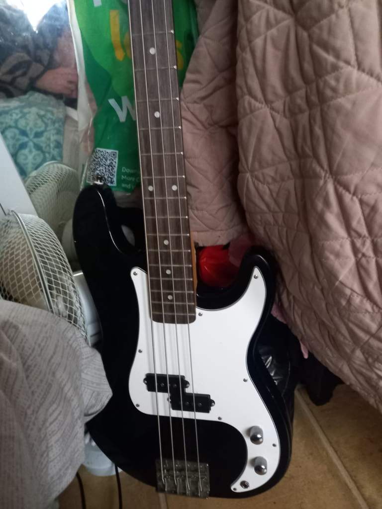 Bass Guitar & Amp Previously Used