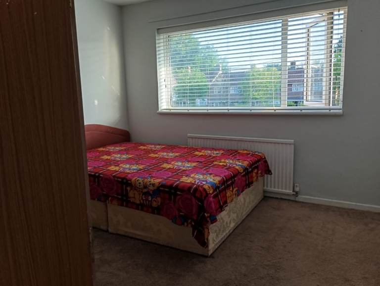 King size room for couple or two 2girls also. 