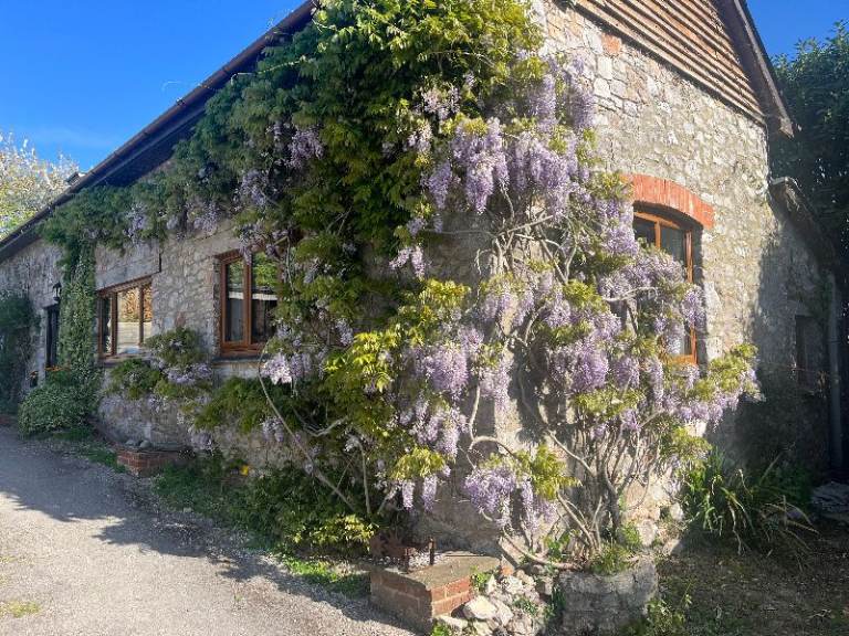 3-Bedroom Rural Home with Large Garden
