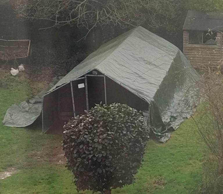 Alphapet® Walk-in Chicken Run Coop Cage Hens Rabbit Dogs Ducks Chickens Poultry