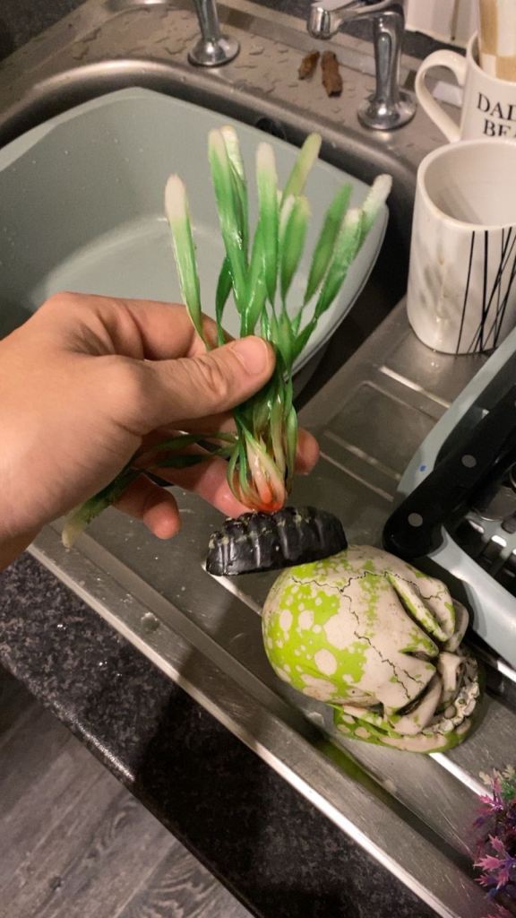 Juwel lido 120 litre fish tank collection only 