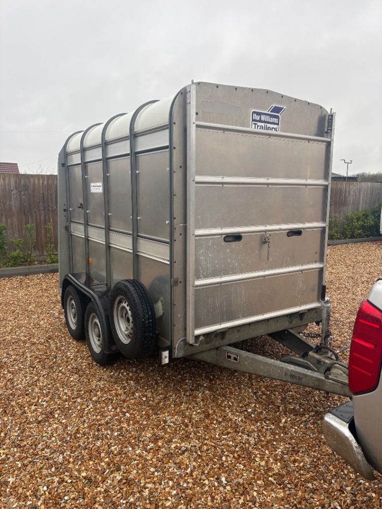 Ifor Williams livestock TA5G-8 trailer 