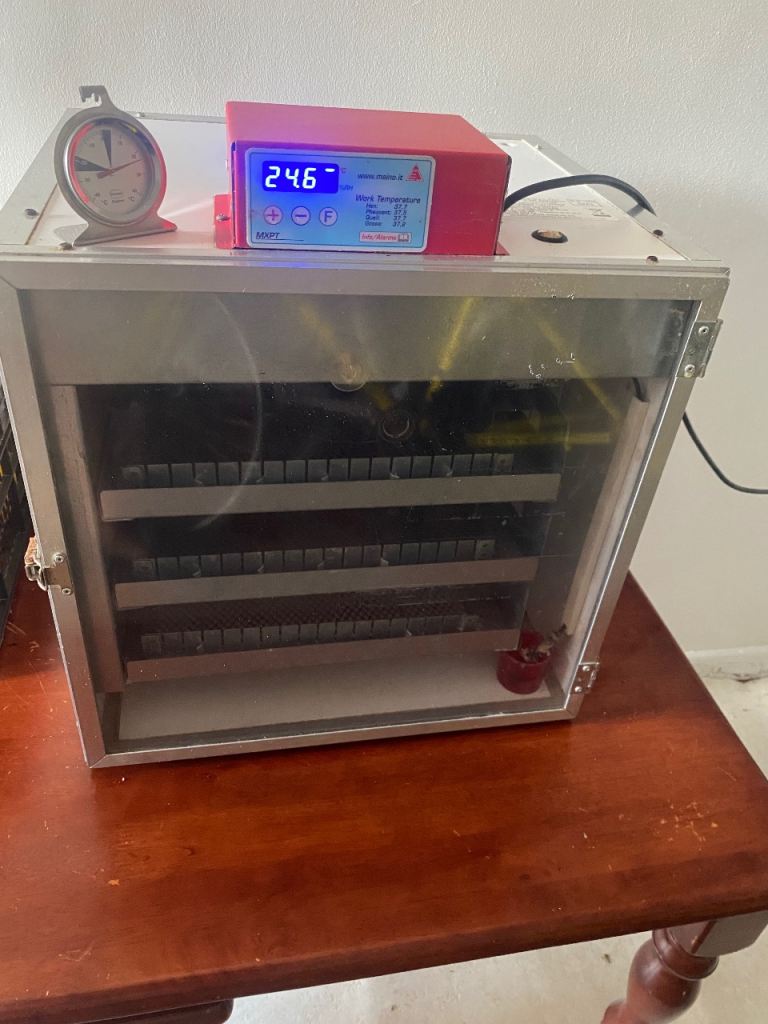Quick sale automatic incubator for sale 167