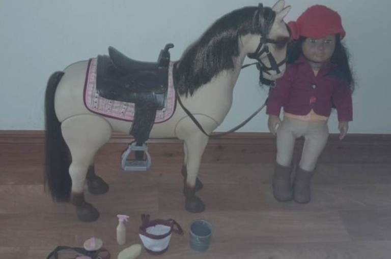 Our Generation Horse Bundle (doll not included)