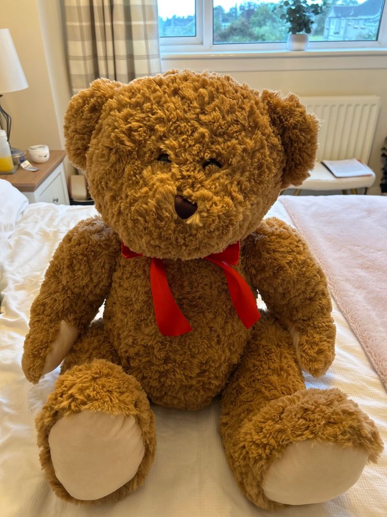 image for Large teddy bear in excellent as new condition 