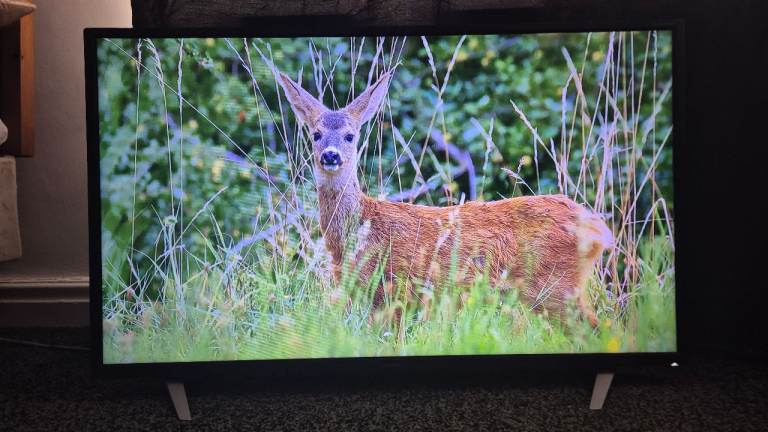 40-inch Sharp Smart TV